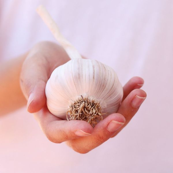 Benefits Of Garlic Supplements