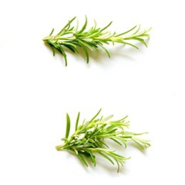 Top 3 Pure Rosemary Oil The Solution For Healthier Hair